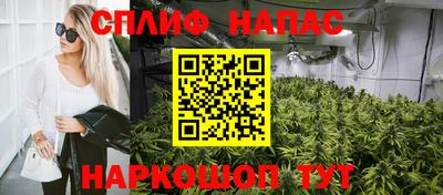 гидропоника Берёзовский