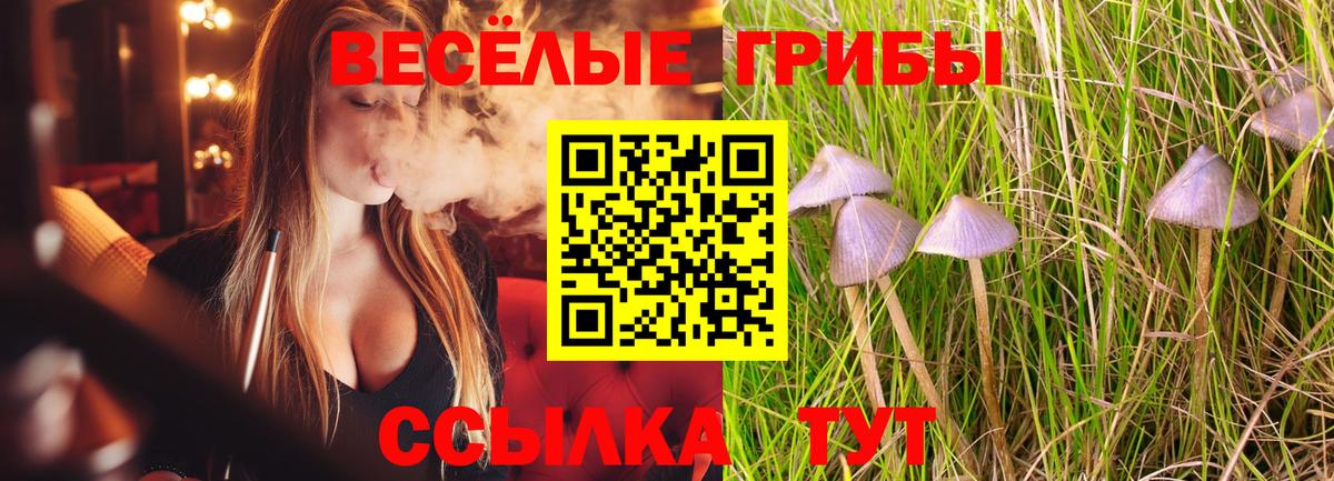 Псилоцибиновые грибы мухоморы Качканар